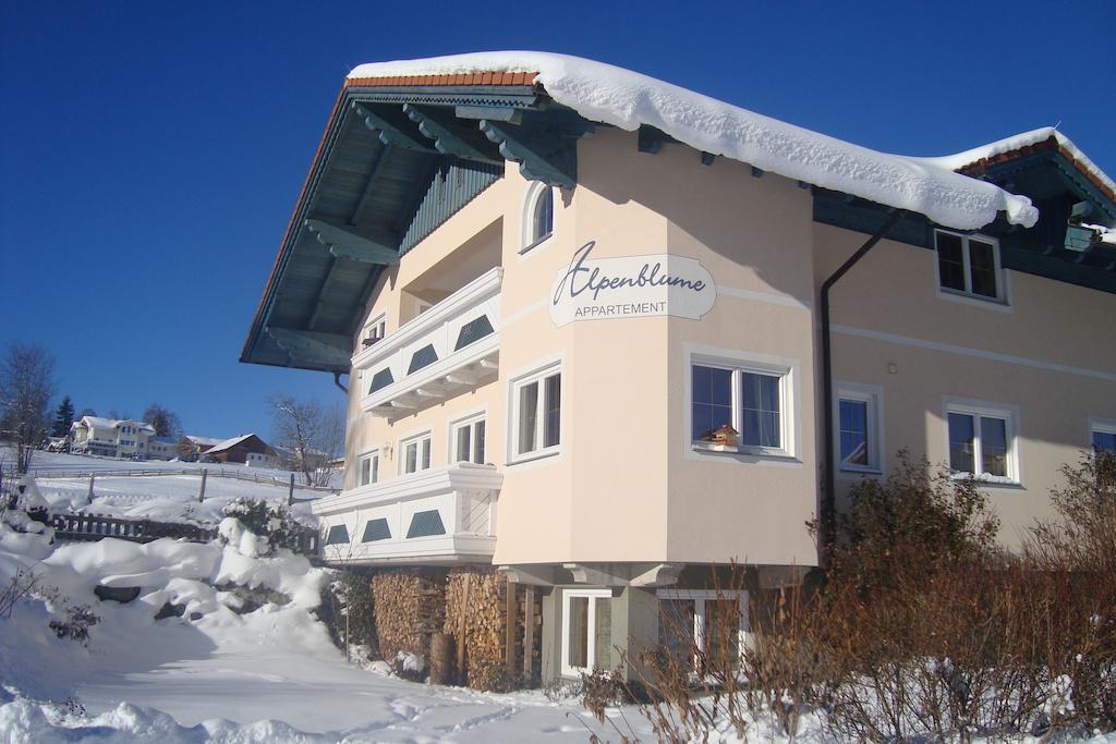 Appartement Alpenblume Schladming Bagian luar foto