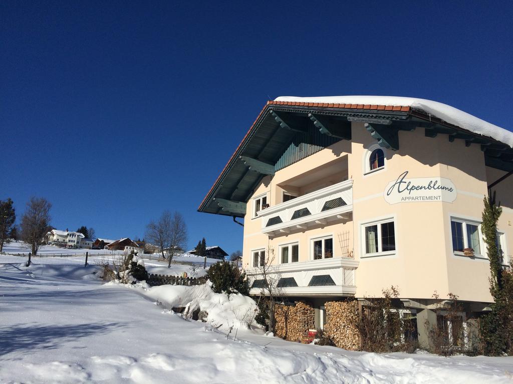 Appartement Alpenblume Schladming Bagian luar foto