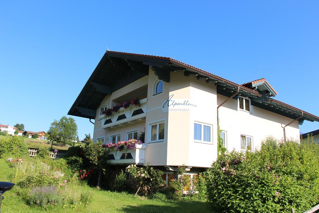 Appartement Alpenblume Schladming Bagian luar foto